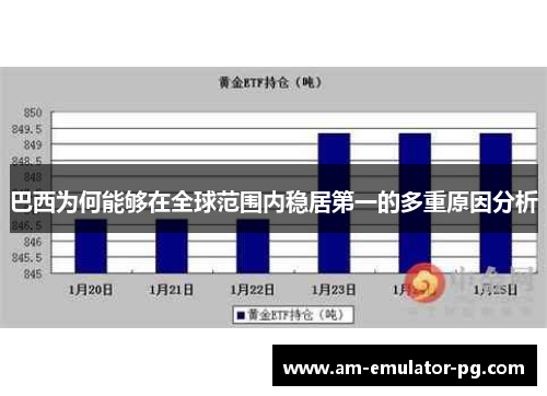 巴西为何能够在全球范围内稳居第一的多重原因分析