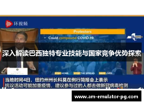 深入解读巴西独特专业技能与国家竞争优势探索