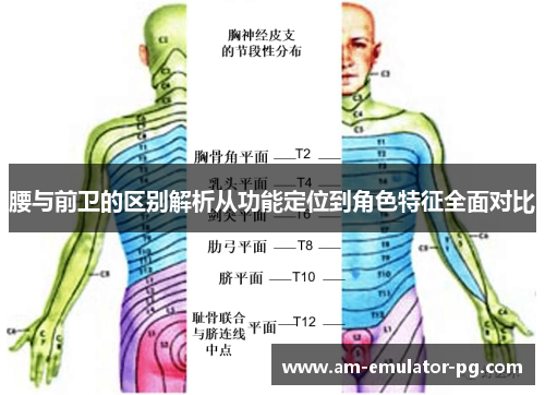 腰与前卫的区别解析从功能定位到角色特征全面对比 腰与前卫的区别解析从功能定位到角色特征全面对比