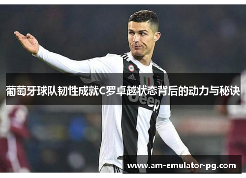 葡萄牙球队韧性成就C罗卓越状态背后的动力与秘诀 葡萄牙球队韧性成就C罗卓越状态背后的动力与秘诀