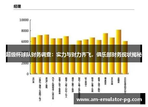 超级杯球队财务调查：实力与财力齐飞，俱乐部财务现状揭秘