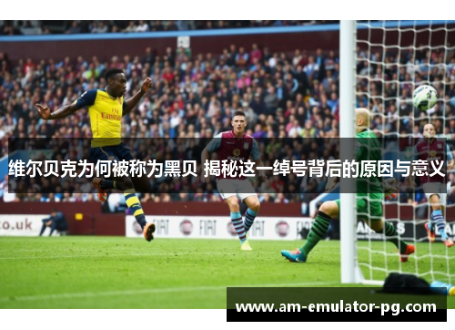 维尔贝克为何被称为黑贝 揭秘这一绰号背后的原因与意义