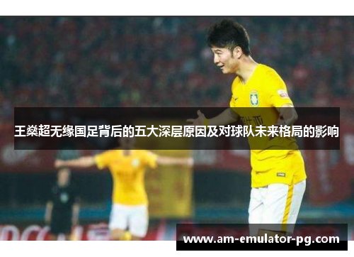 王燊超无缘国足背后的五大深层原因及对球队未来格局的影响