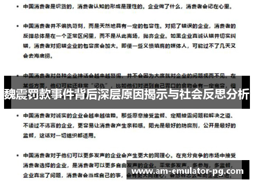 魏震罚款事件背后深层原因揭示与社会反思分析 魏震罚款事件背后深层原因揭示与社会反思分析