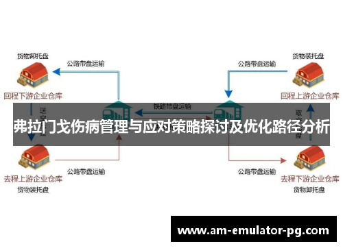 弗拉门戈伤病管理与应对策略探讨及优化路径分析